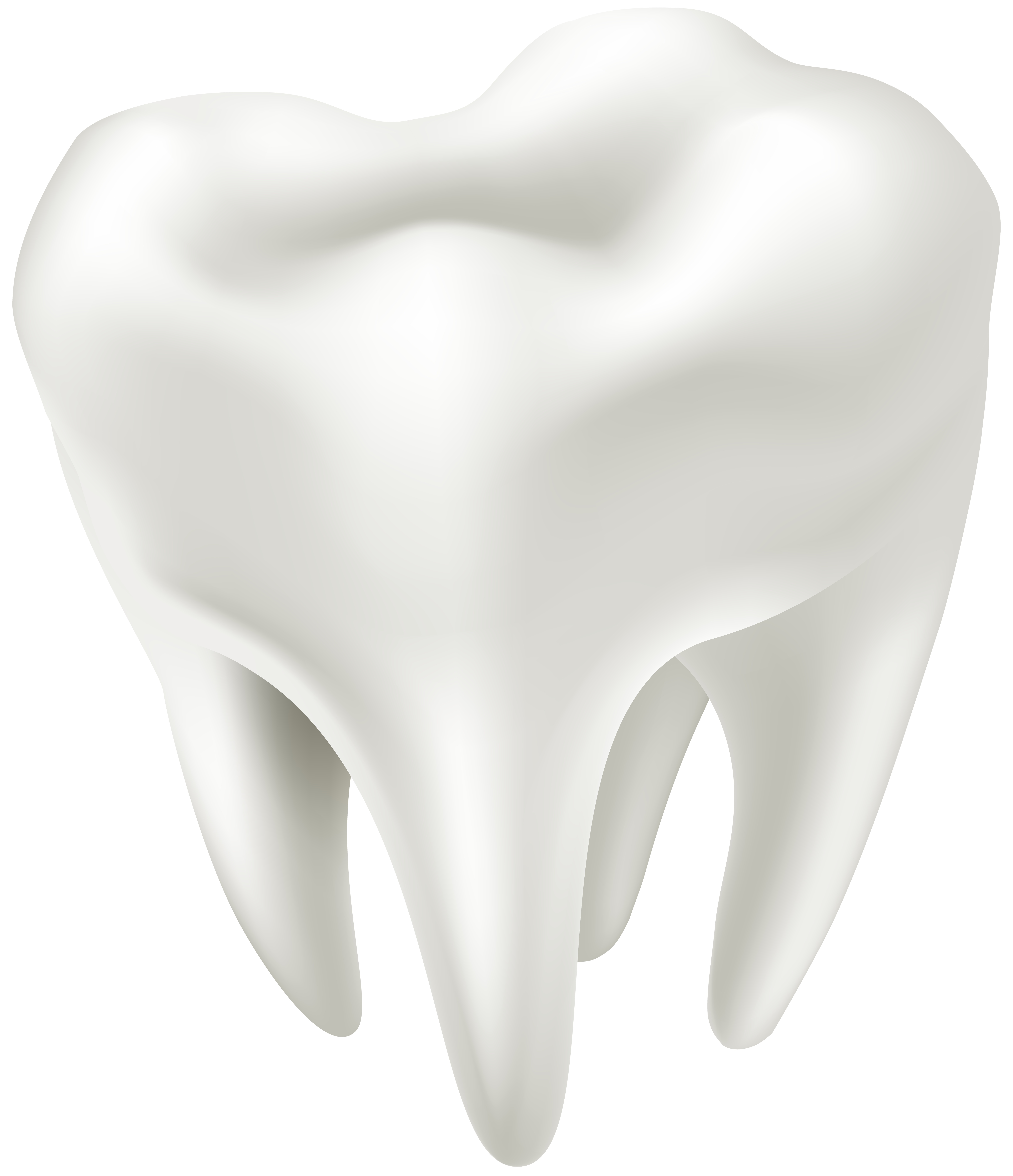 3D White Tooth